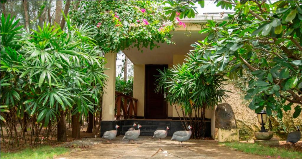 Hotel Ocean Spray Kālapettai Exterior foto